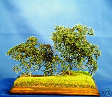 Diorama Zubehr Modell Bume, 2 Bsche im Sommer, 1:32,